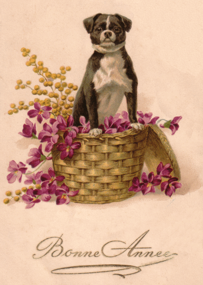Carte ancienne bonne ann&eacute;e avec un chien